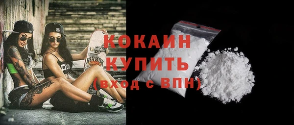 прущие грибы Дмитровск