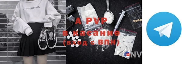 прущие грибы Дмитровск