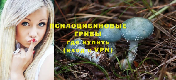 PSILOCYBIN Горно-Алтайск