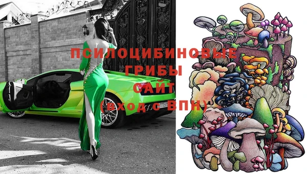 PSILOCYBIN Горно-Алтайск