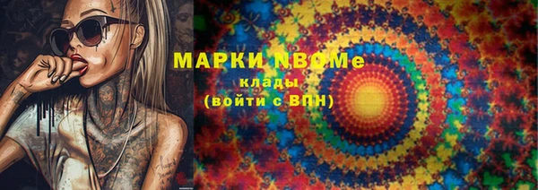 прущие грибы Дмитровск