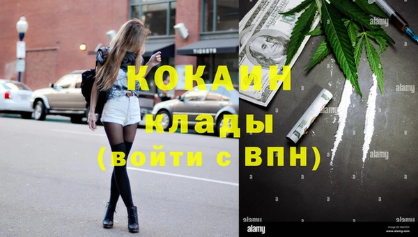 спиды Дмитриев