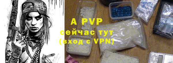 прущие грибы Дмитровск