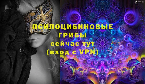 спиды Дмитриев