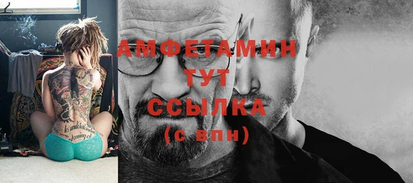 PSILOCYBIN Горно-Алтайск