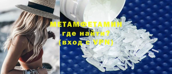 прущие грибы Дмитровск